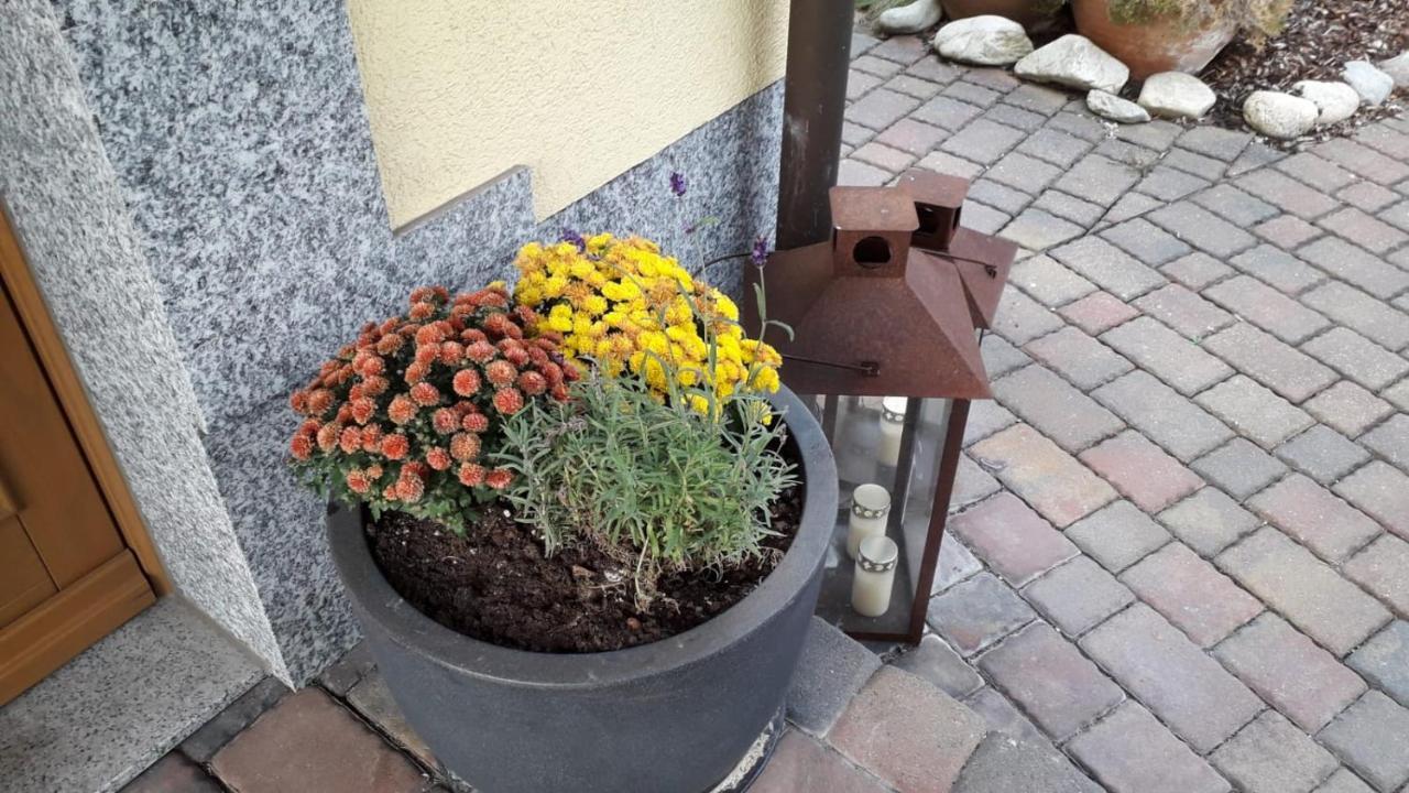 Ferienwohnung Leipzig Land Naunhof 外观 照片
